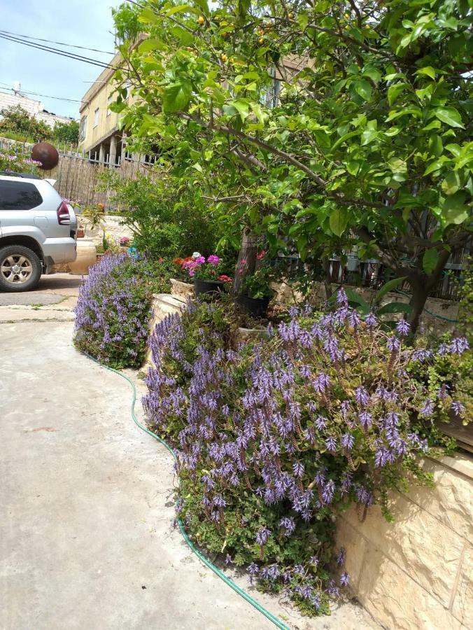 Valentine House Apartment Deir Hanna Exterior foto